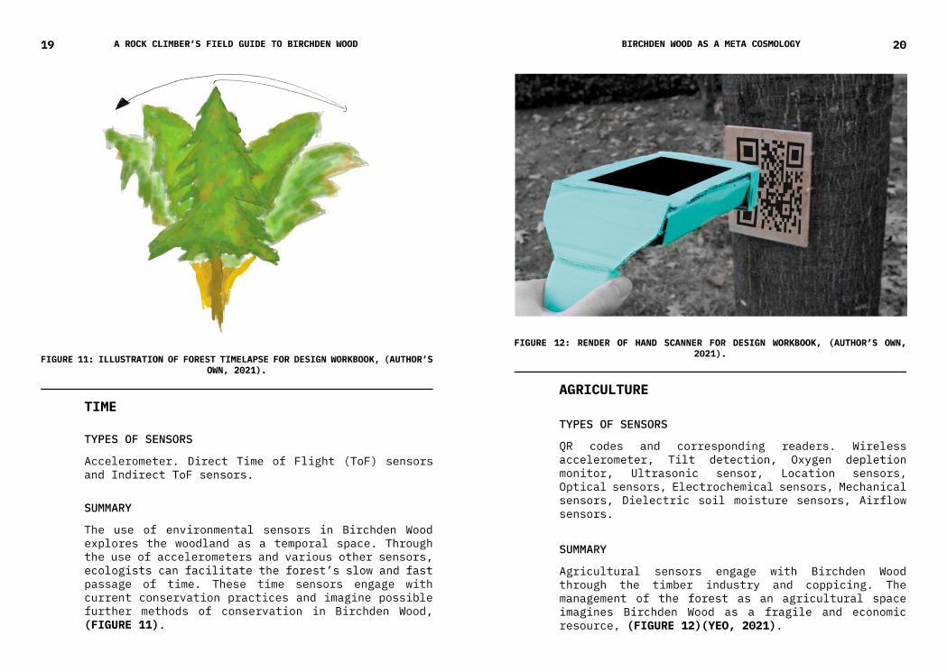 Field Guide, page 13