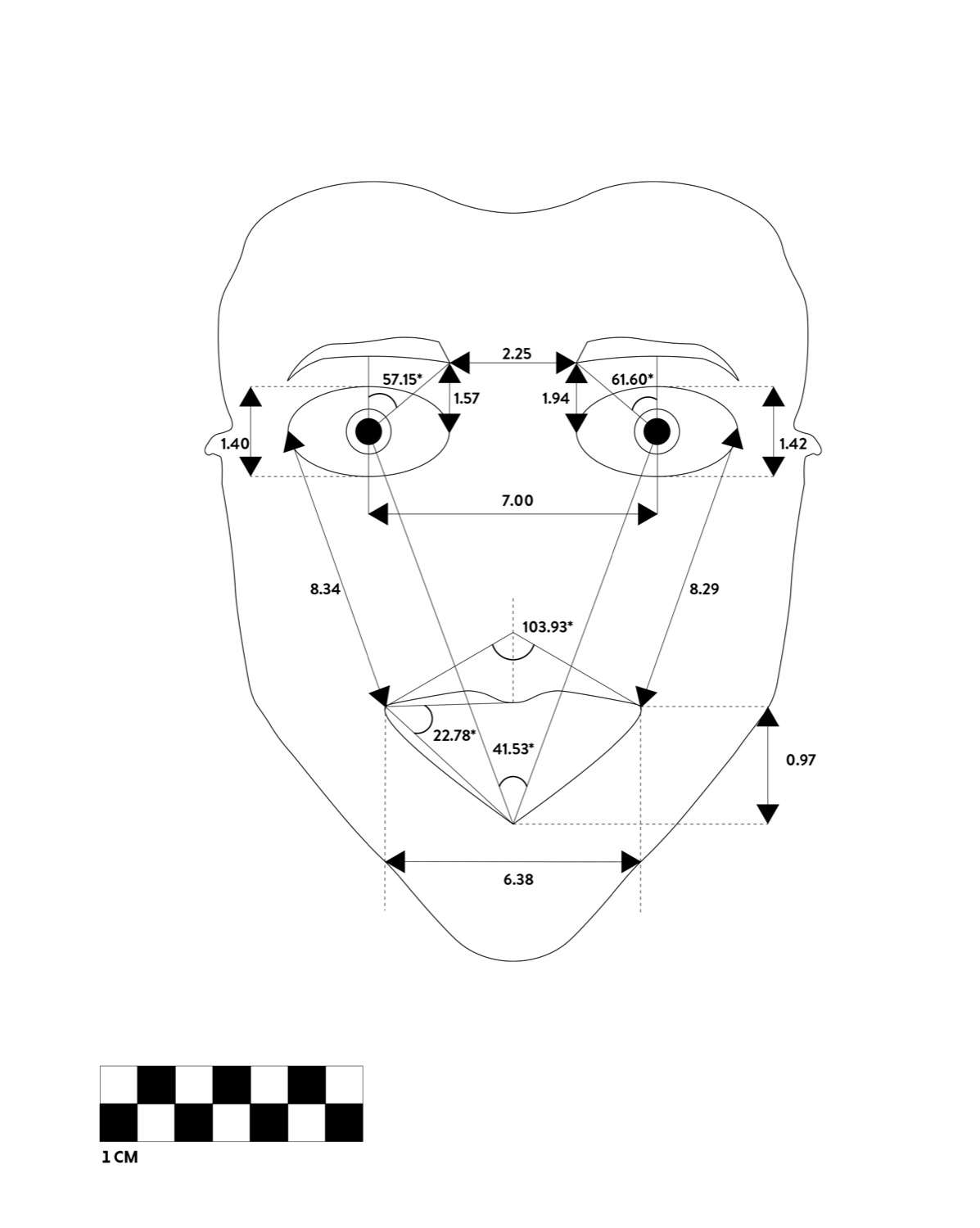 Averaged facial measurement chart for Disgust - a line diagram of distances and angles with a one-centimetre scale.